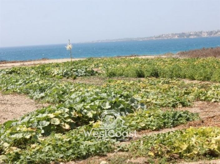 Image No.4-Plot for sale