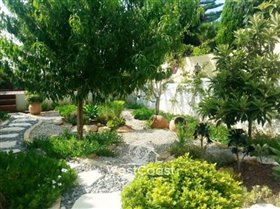 Image No.5-Villa de 5 chambres à vendre à Paphos