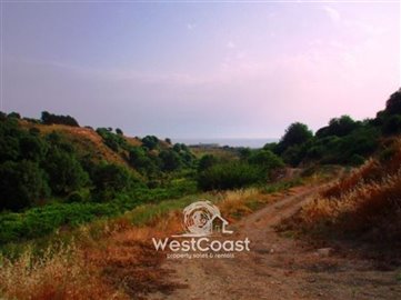 1 - Kissonerga, Terrain