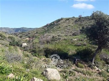22903-big-plot-of-land-for-sale-in-pegia-area