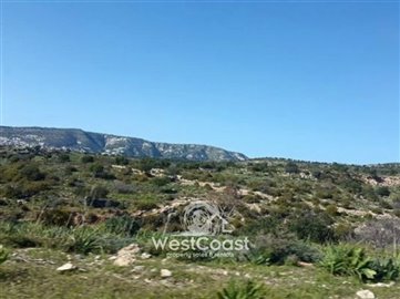 22904-big-plot-of-land-for-sale-in-pegia-area