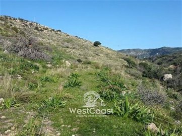 22907-big-plot-of-land-for-sale-in-pegia-area
