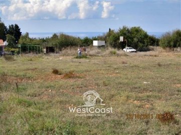 58931-good-size-of-plot-in-tremithousafull