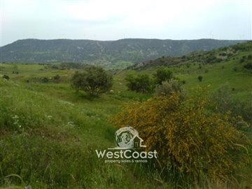 100793-residential-land-for-sale-in-choletria