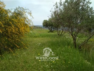 100790-residential-land-for-sale-in-choletria