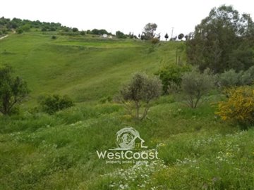 100792-residential-land-for-sale-in-choletria