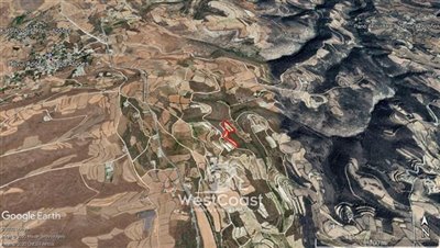 124683-agricultural-land-for-sale-in-pano-aro