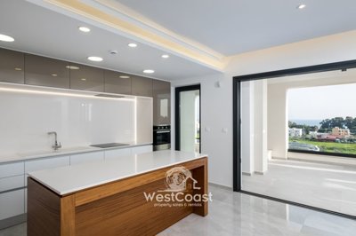 125845-penthouse-for-sale-in-dassoudifull