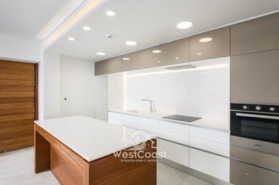 125847-penthouse-for-sale-in-dassoudifull