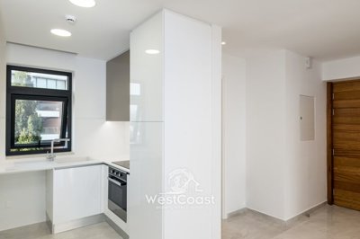 125850-penthouse-for-sale-in-dassoudifull