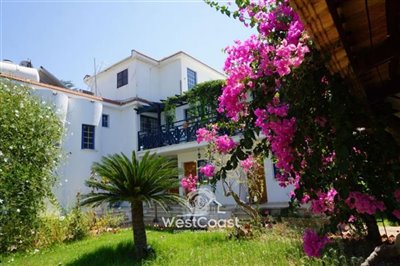 164183-detached-villa-for-sale-in-acheleiaful