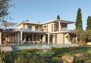 151323-detached-villa-for-sale-in-asomatosful