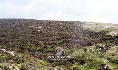 172268-agricultural-land-for-sale-in-pissouri