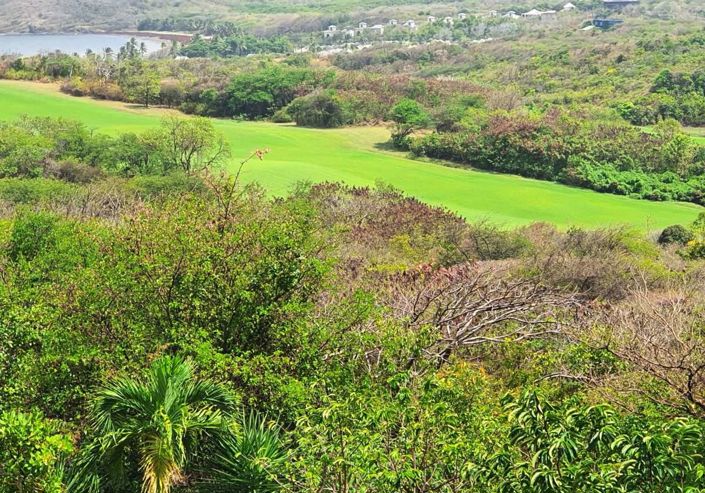 Image No.8-3 Bed Villa for sale