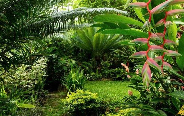 Image No.39-Villa de 6 chambres à vendre à Marigot Bay