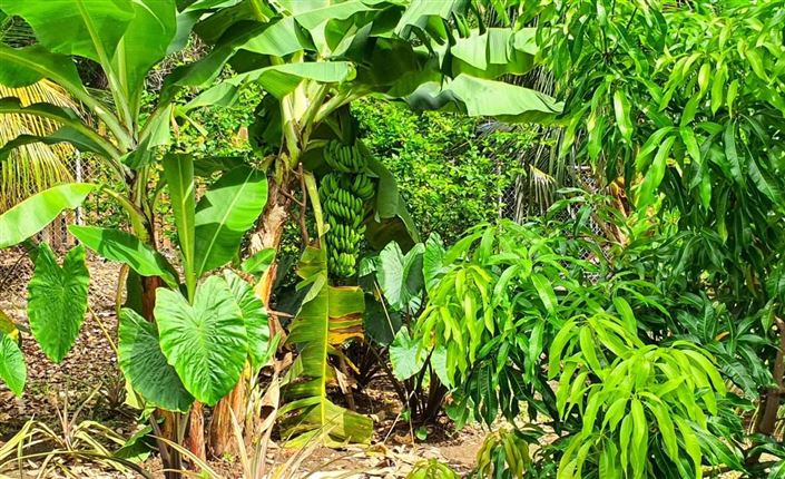 Image No.18-5 Bed Villa for sale