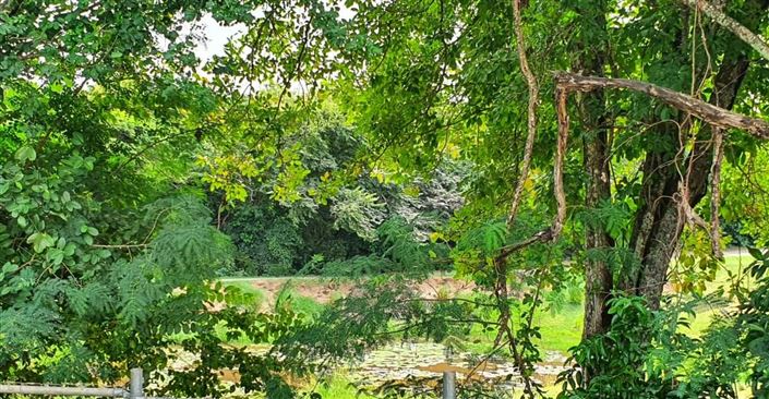 Image No.15-5 Bed Villa for sale