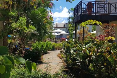 garden-1