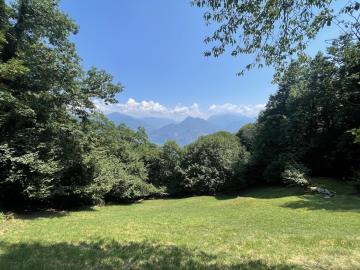 IMG_5014