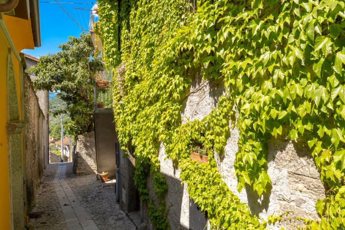 Image No.33-Maison de 3 chambres à vendre à Tremezzina