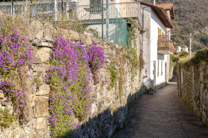 Image No.21-Maison de 2 chambres à vendre à Menaggio