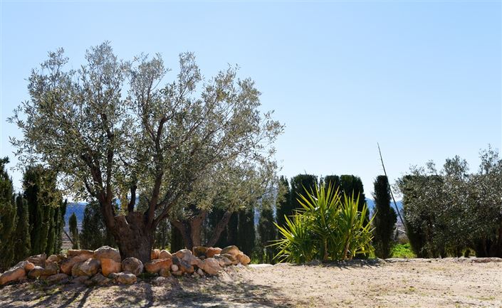 Image No.26-4 Bed Country House for sale