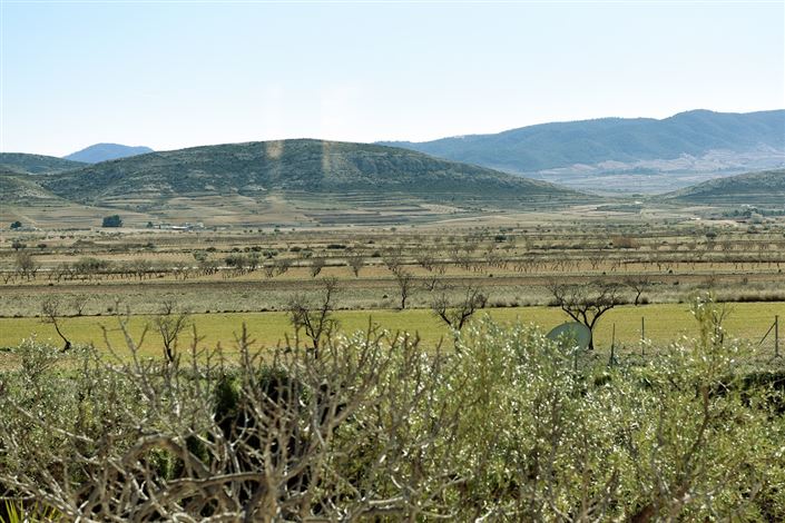 Image No.28-4 Bed Country House for sale