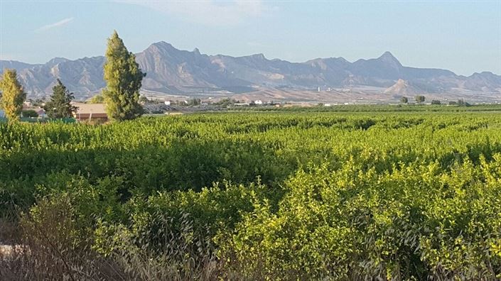 Image No.5-4 Bed Villa for sale