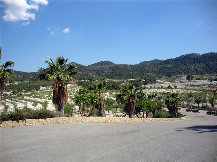 Image No.15-9 Bed Country House for sale