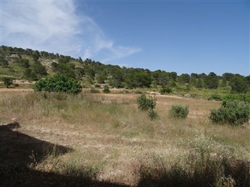 1118fincaangelacf14035
