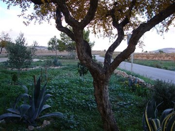 470massivepropertyonedgeofvillagecf8311