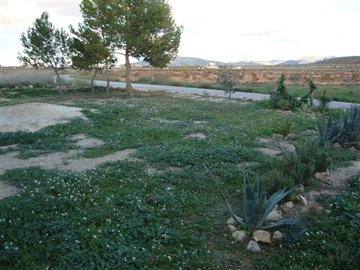 470massivepropertyonedgeofvillagecf8312