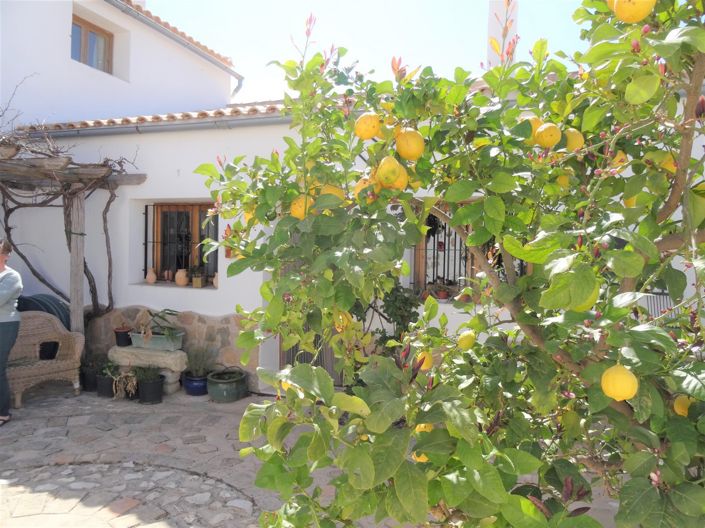 Image No.4-Maison de campagne de 5 chambres à vendre à Torre del Rico