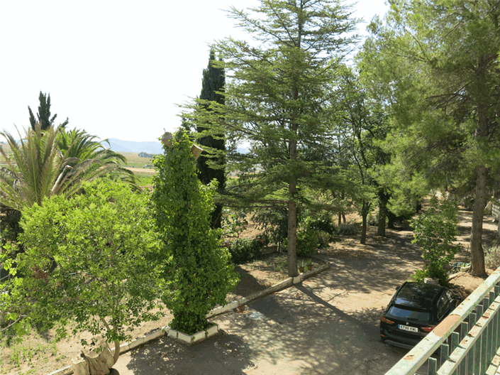 Image No.8-Maison de campagne de 6 chambres à vendre à Pinoso