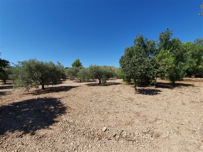 Image No.12-5 Bed Country House for sale