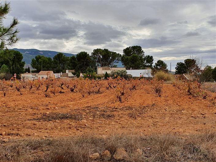 Image No.23-2 Bed Country House for sale