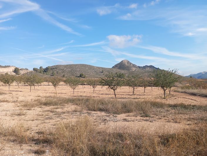 Image No.6-3 Bed Villa for sale