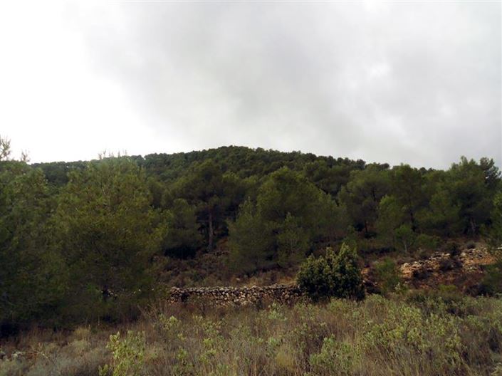 Image No.11-1 Bed Country House for sale