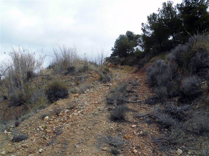 Image No.15-1 Bed Country House for sale