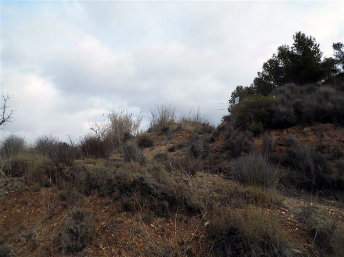 Image No.16-1 Bed Country House for sale