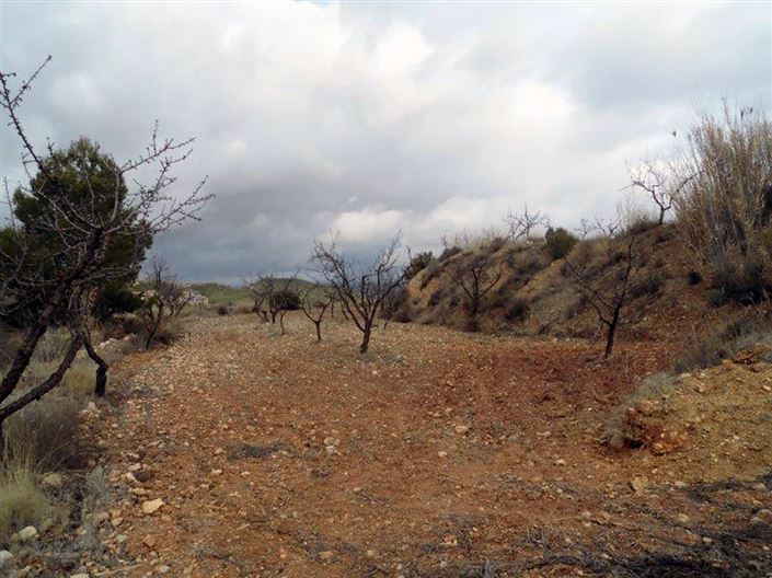 Image No.17-1 Bed Country House for sale