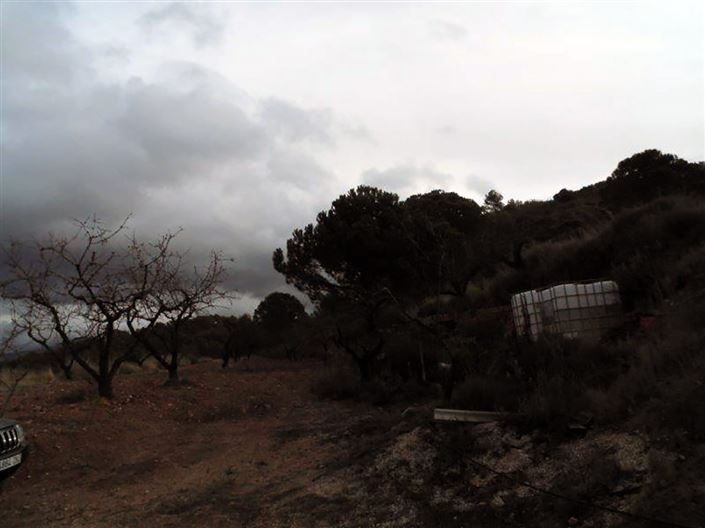 Image No.19-1 Bed Country House for sale