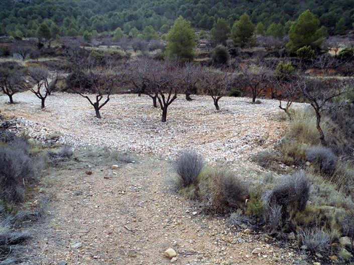 Image No.25-1 Bed Country House for sale