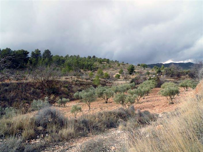 Image No.26-1 Bed Country House for sale