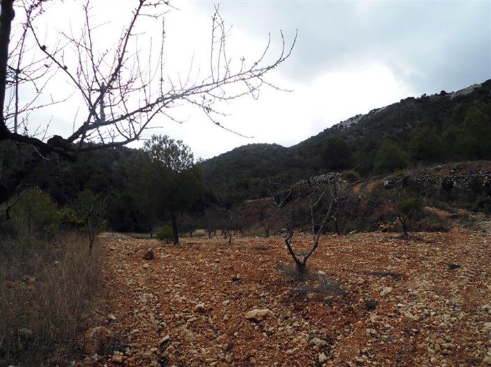 Image No.28-1 Bed Country House for sale