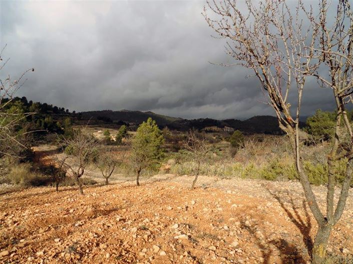 Image No.5-1 Bed Country House for sale