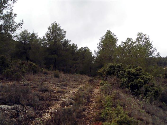 Image No.6-1 Bed Country House for sale