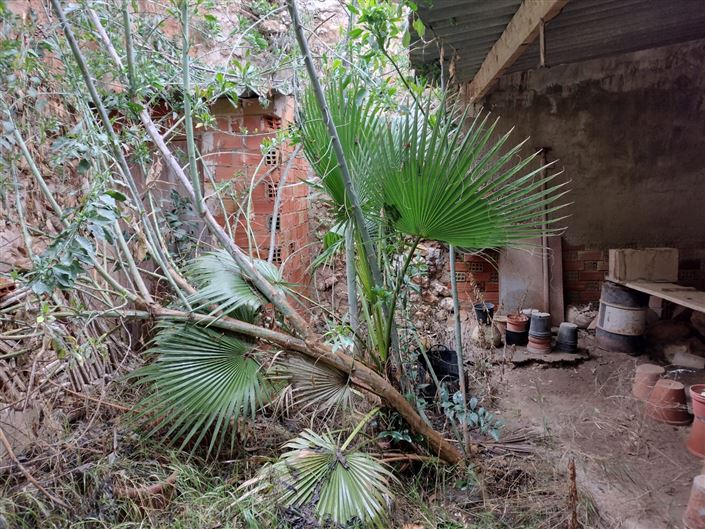 Image No.14-Country House for sale