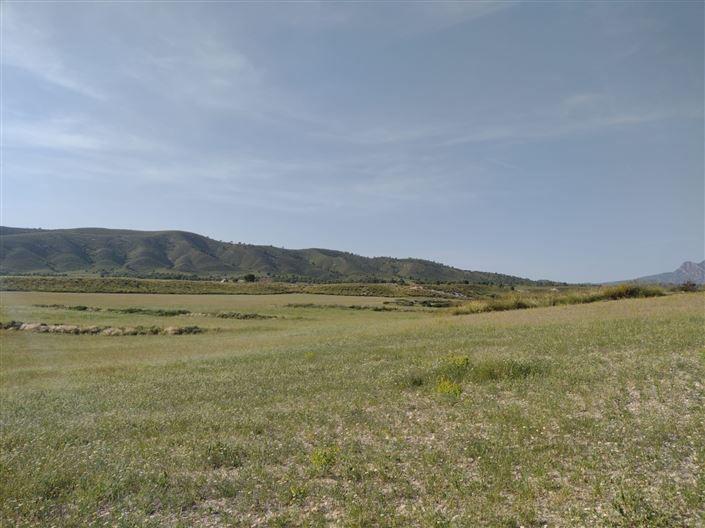 Image No.25-Ferme de 3 chambres à vendre à Jumilla