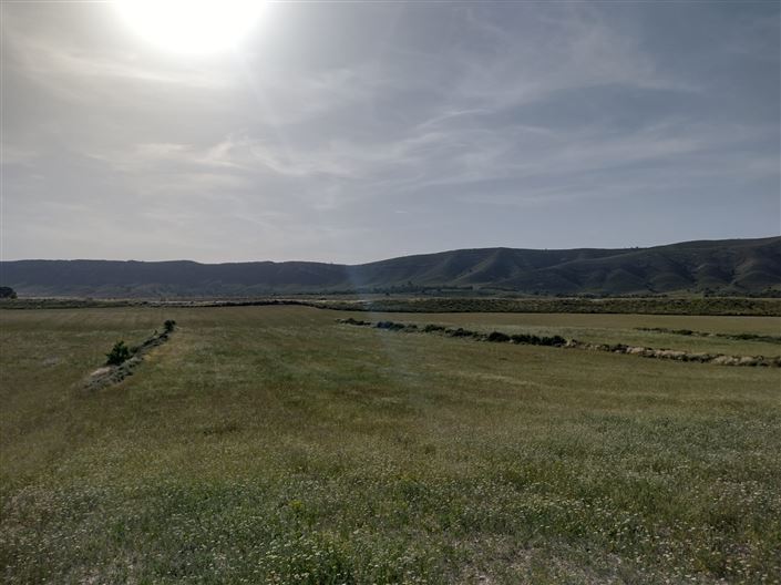 Image No.26-Ferme de 3 chambres à vendre à Jumilla